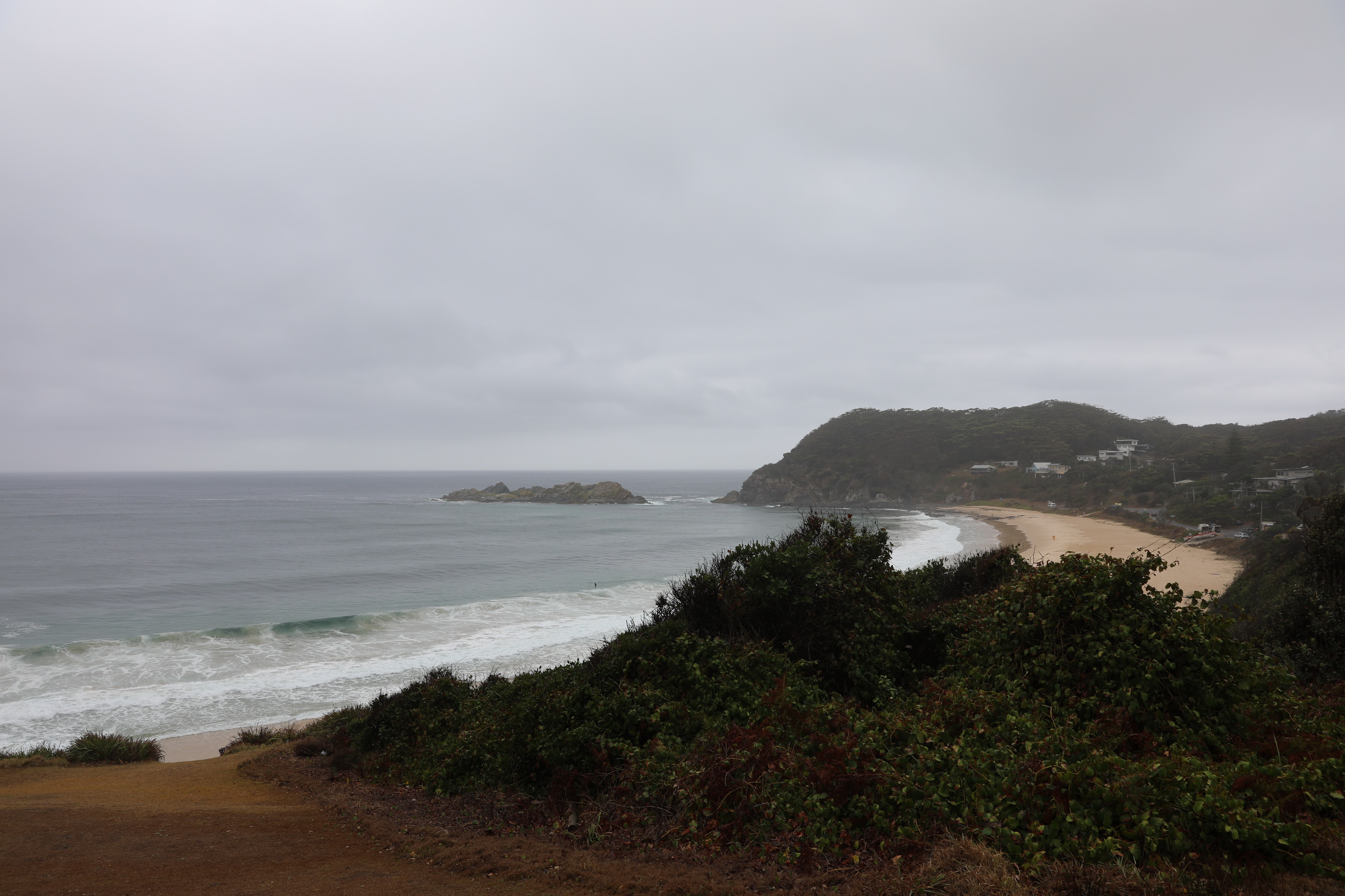 2020 01 11 13 32 02 Canon EOS 5D Mark IV 0003